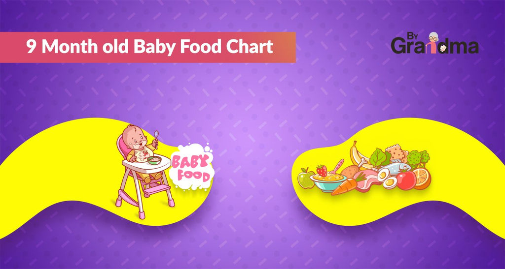 9 Month Old Baby Food Chart - ByGrandma