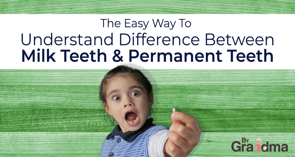The Easy Way To Understand The Difference Between Milk Teeth And Permanent Teeth