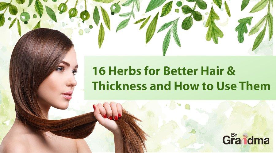16 Ayurvedic Herbs for Better Hair & Thickness and How to Use Them - ByGrandma