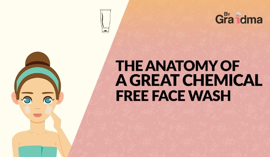 The Anatomy of a Great Chemical Free Facewash - ByGrandma